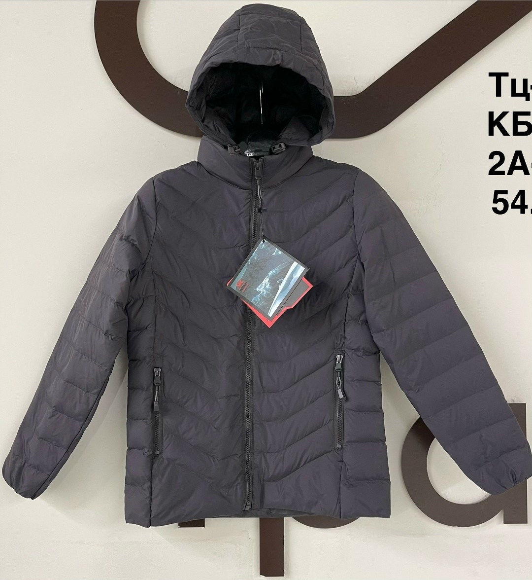 куртка мужскaя демисезонная,куртка демисезонная,куртка на синтепоне мужская демисезонная,мужская куртка,мужская зимняя куртка