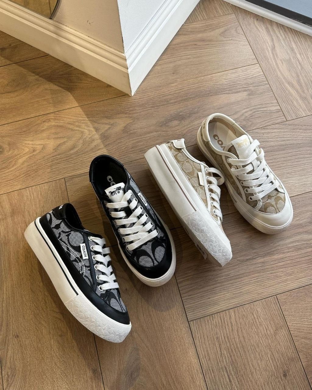 женские кеды coach,кеды женски,,кеды диор,кеды диор женские