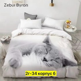 Одежда