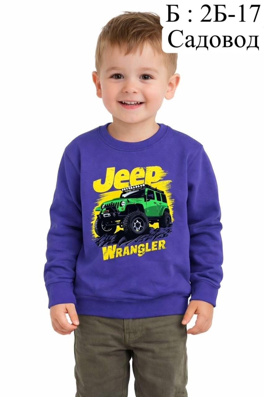 свитшот для детей,свитшот для мальчиков детский,cвитшот для мальчика,детский джемпер,cвитшот детский