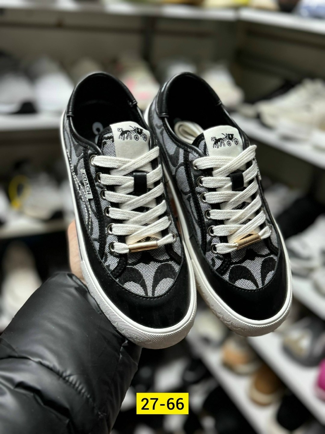 коач кеды,,кеды женски,кеды coach женские,женские кроссовки