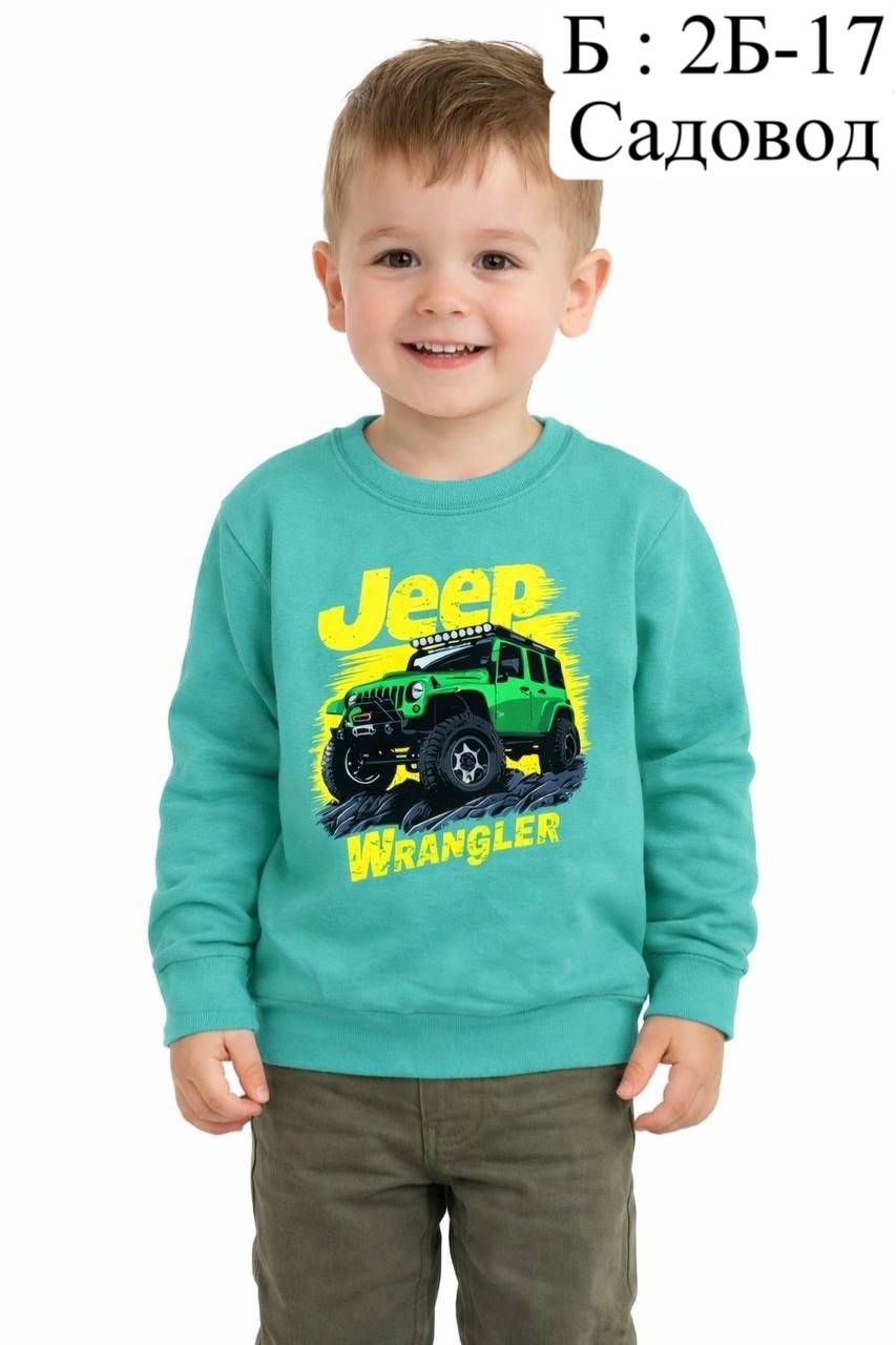 свитшот для детей,свитшот для мальчиков детский,cвитшот для мальчика,детский джемпер,cвитшот детский