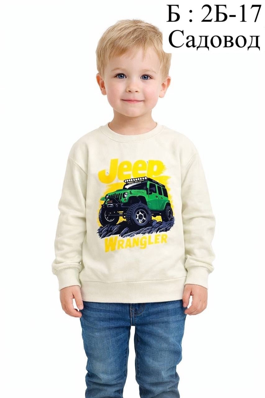 свитшот для детей,свитшот для мальчиков детский,cвитшот для мальчика,детский джемпер,cвитшот детский