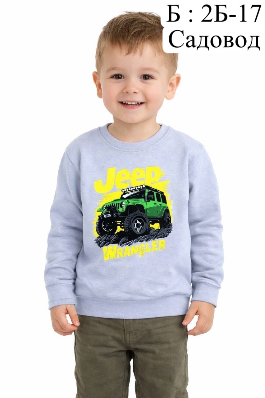 свитшот для детей,свитшот для мальчиков детский,cвитшот для мальчика,детский джемпер,cвитшот детский