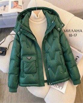 Верхняя одежда