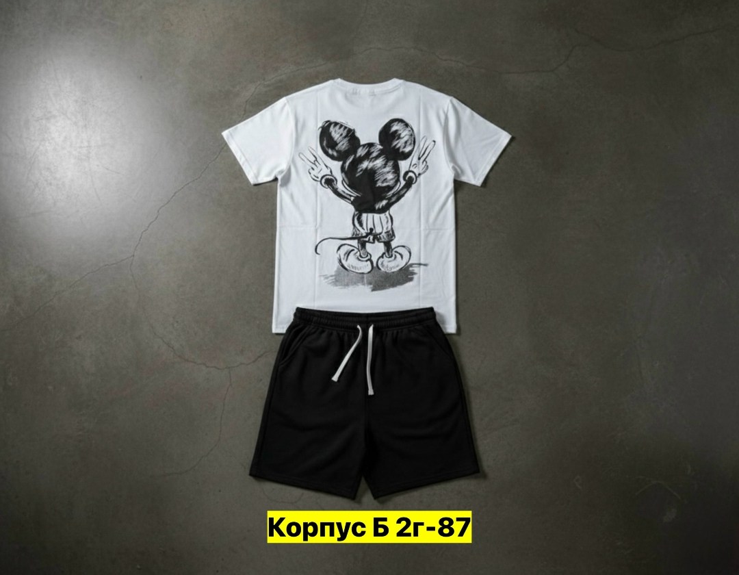 костюм спортивный мужской,костюм спортивный мужской летний с шортами,костюм спортивный мужской шорты,костюм спортивный летний с шортами и футболкой,мужской костюм с шортами