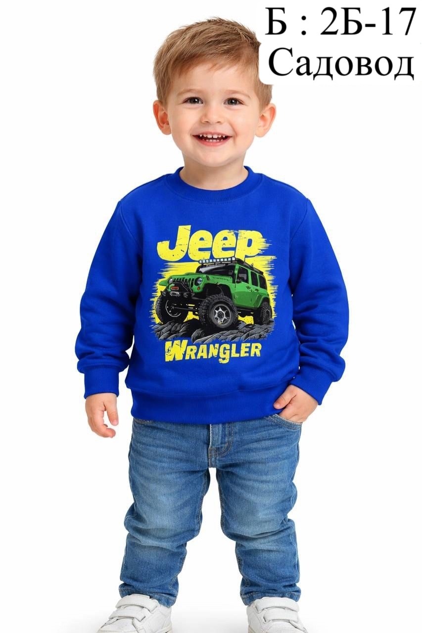 свитшот для детей,свитшот для мальчиков детский,cвитшот для мальчика,детский джемпер,cвитшот детский