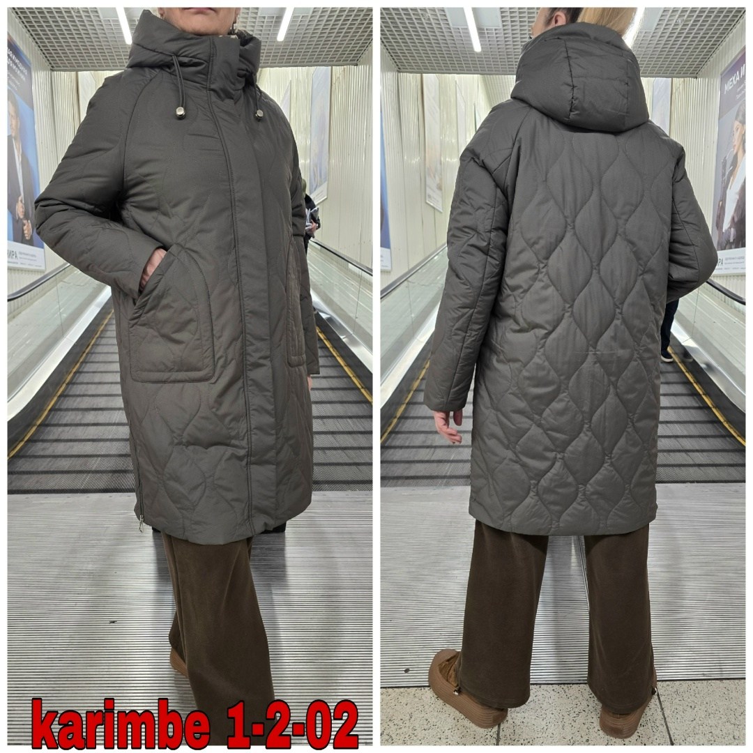 куртка демисезонная,куртка зимняя женская,женская куртка,удлиненная зимняя куртка,женская демисезонная куртка