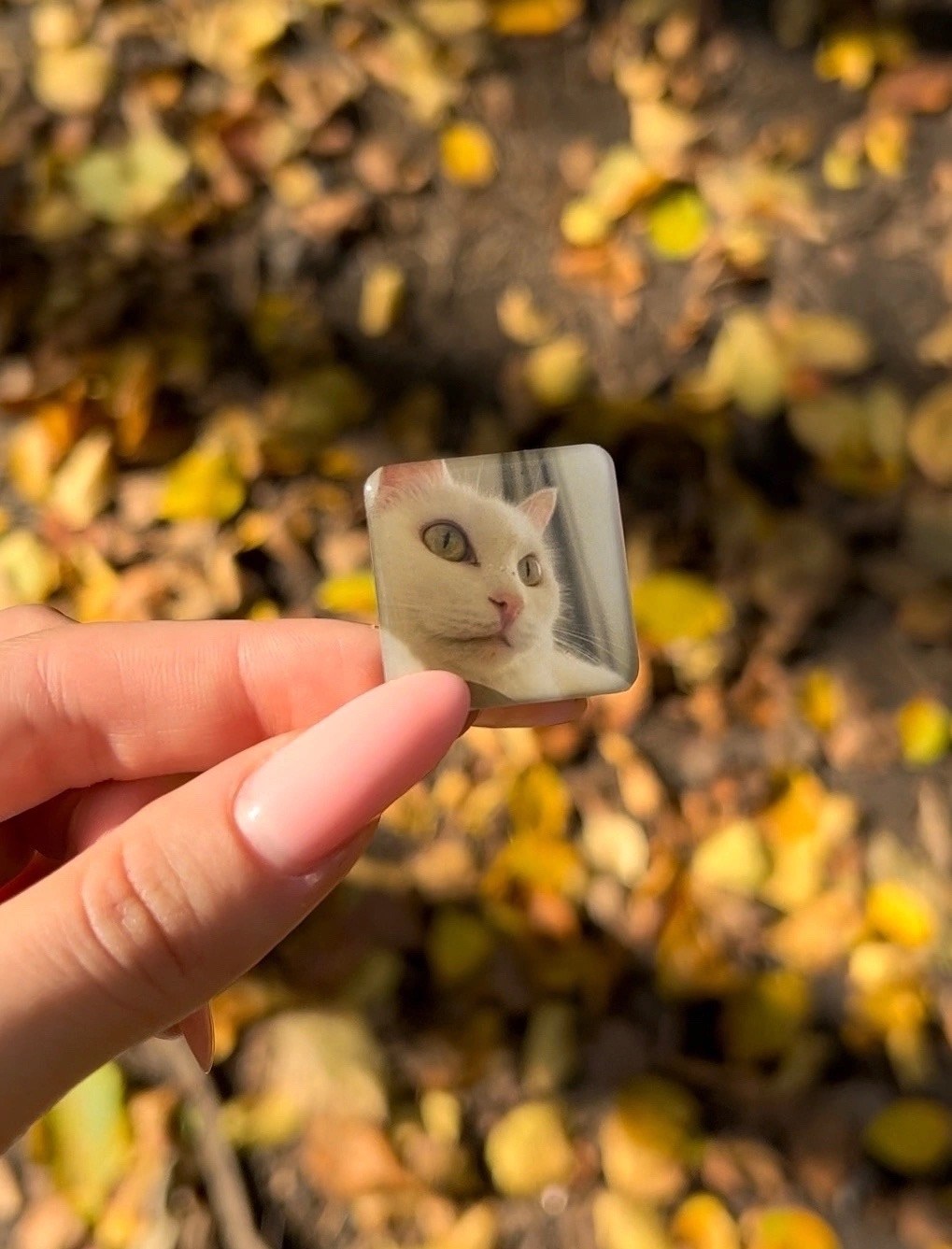 стикер на телефон с фотографией,стикер на телефон с фотографией на заказ,3д стикеры на телефон,стикеры на чехол,чехлы для телефона