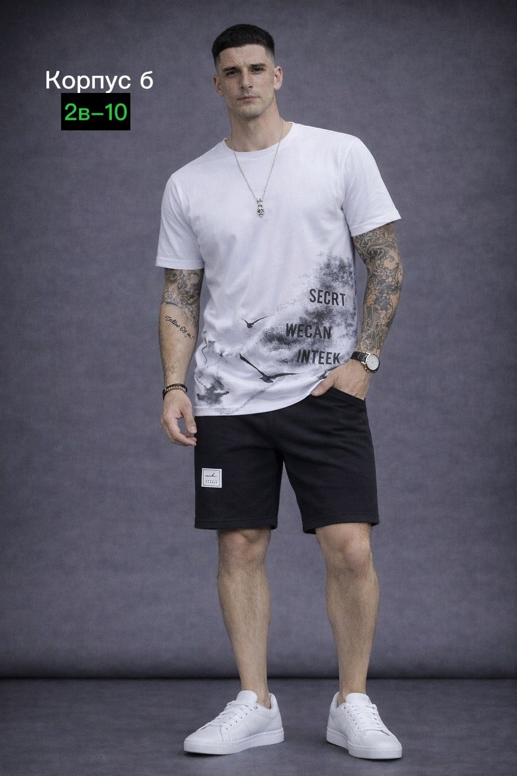 мужской спортивный костюм с шортами,шорты мужские,мужской костюм с шортами,костюм футболка с шортам,шорты бриджи мужские