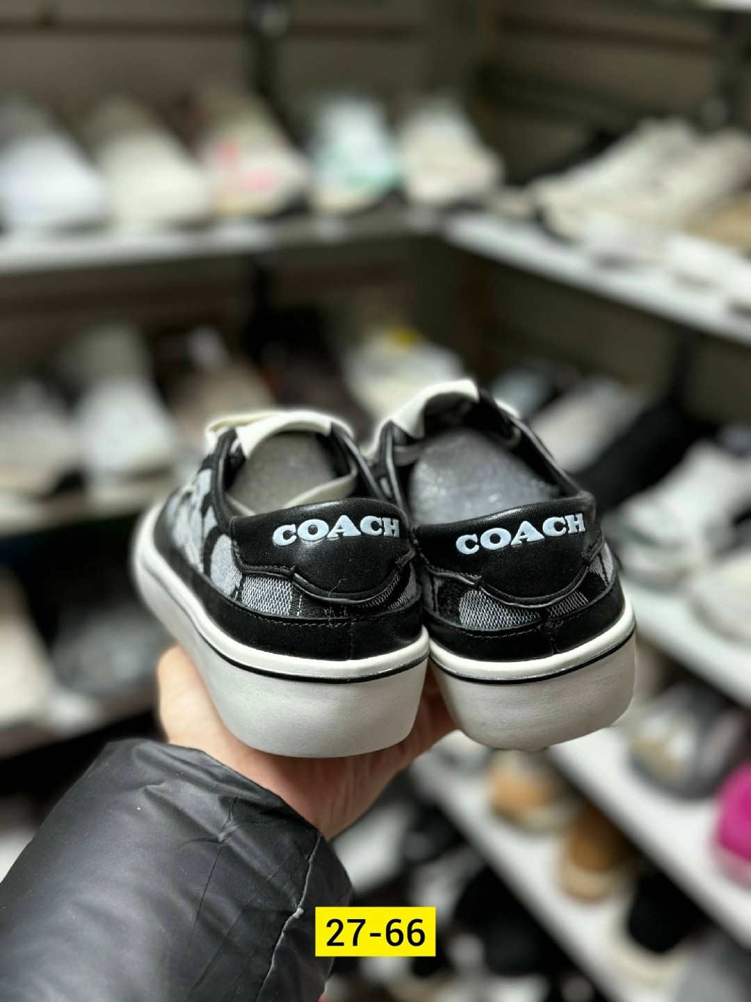 коач кеды,,кеды женски,кеды coach женские,женские кроссовки