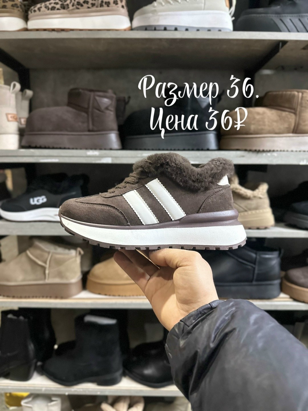 ,кроссовки женский obba замша натуральная,кроссовки женские,кроссовки obba,кроссовки зимние женские