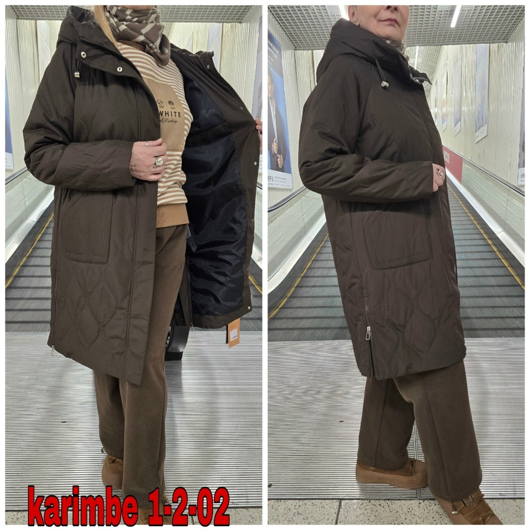 куртка демисезонная,куртка зимняя женская,женская куртка,удлиненная зимняя куртка,женская демисезонная куртка