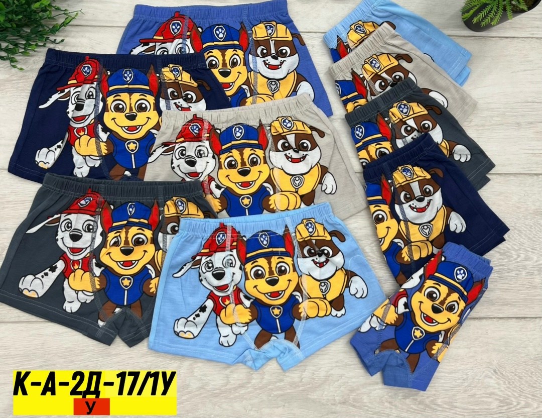 трусы боксеры cool kid щенячий патруль,трусы детские,трусы для мальчиков,комплект трусов,трусы боксёры щенячий патруль