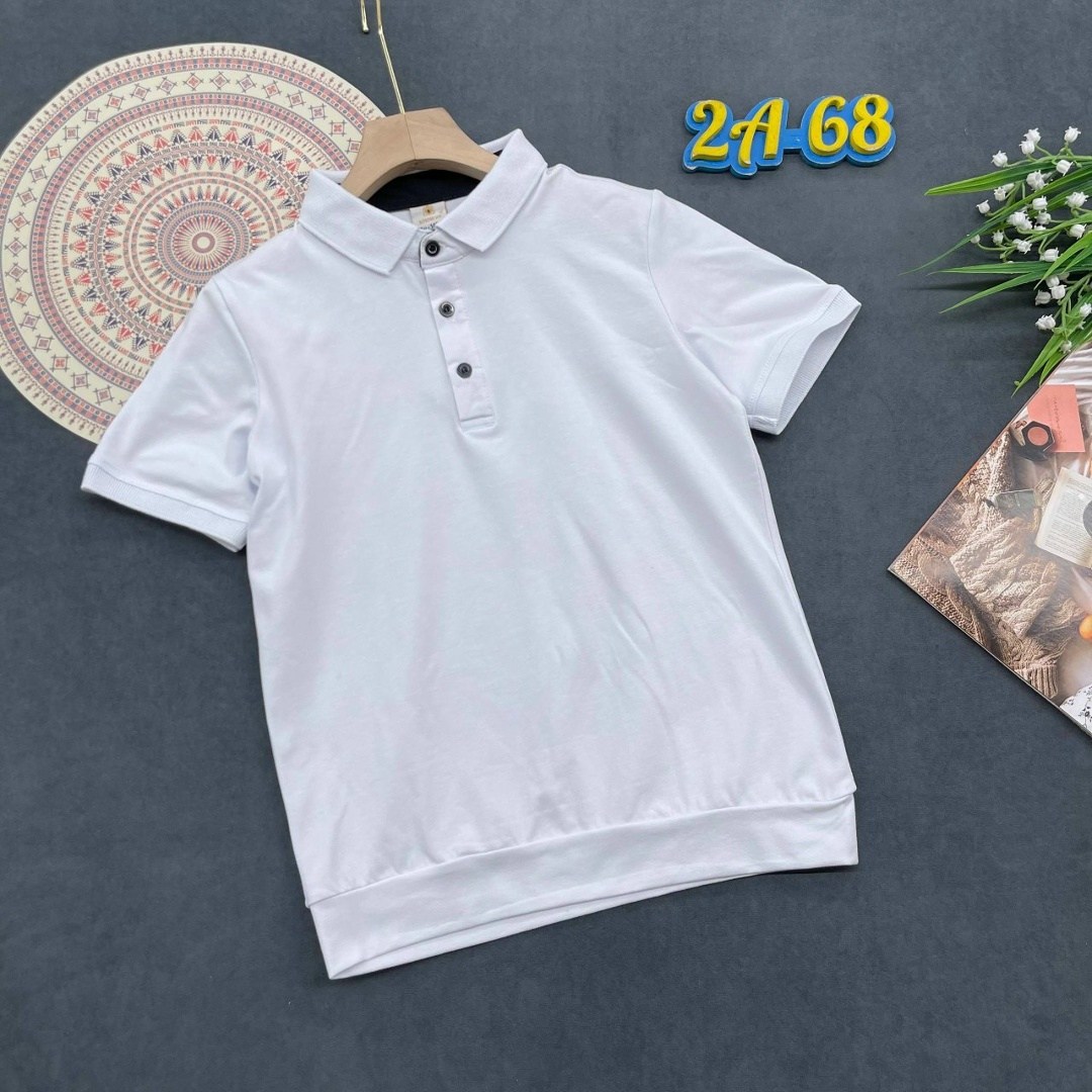 футболки поло мужские,мужская рубашка поло,футболки поло,повседневная рубашка,мужская мода