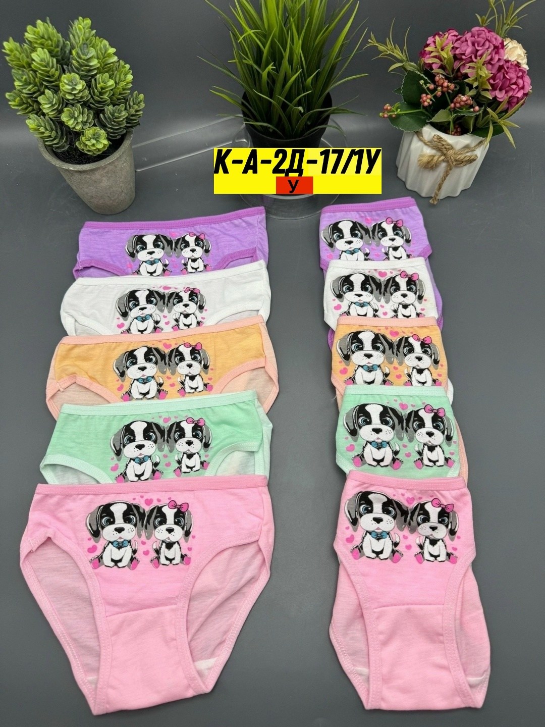 детские трусы для девочек,трусы для девочек,трусики для девочки,комплект трусов для девочки 5 шт,трусы для девочки 7шт