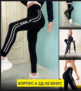 Лосины