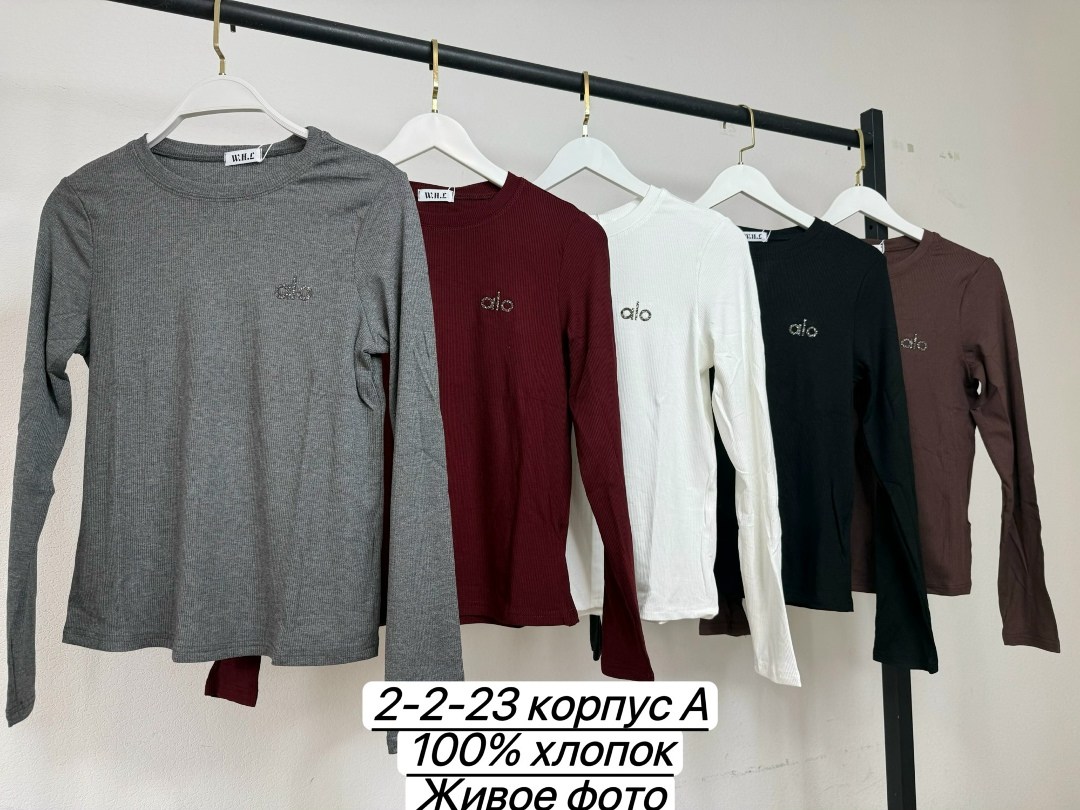 свитшот женская,женская кофта,стильный свитшот,лонгслив женские,лонгслив