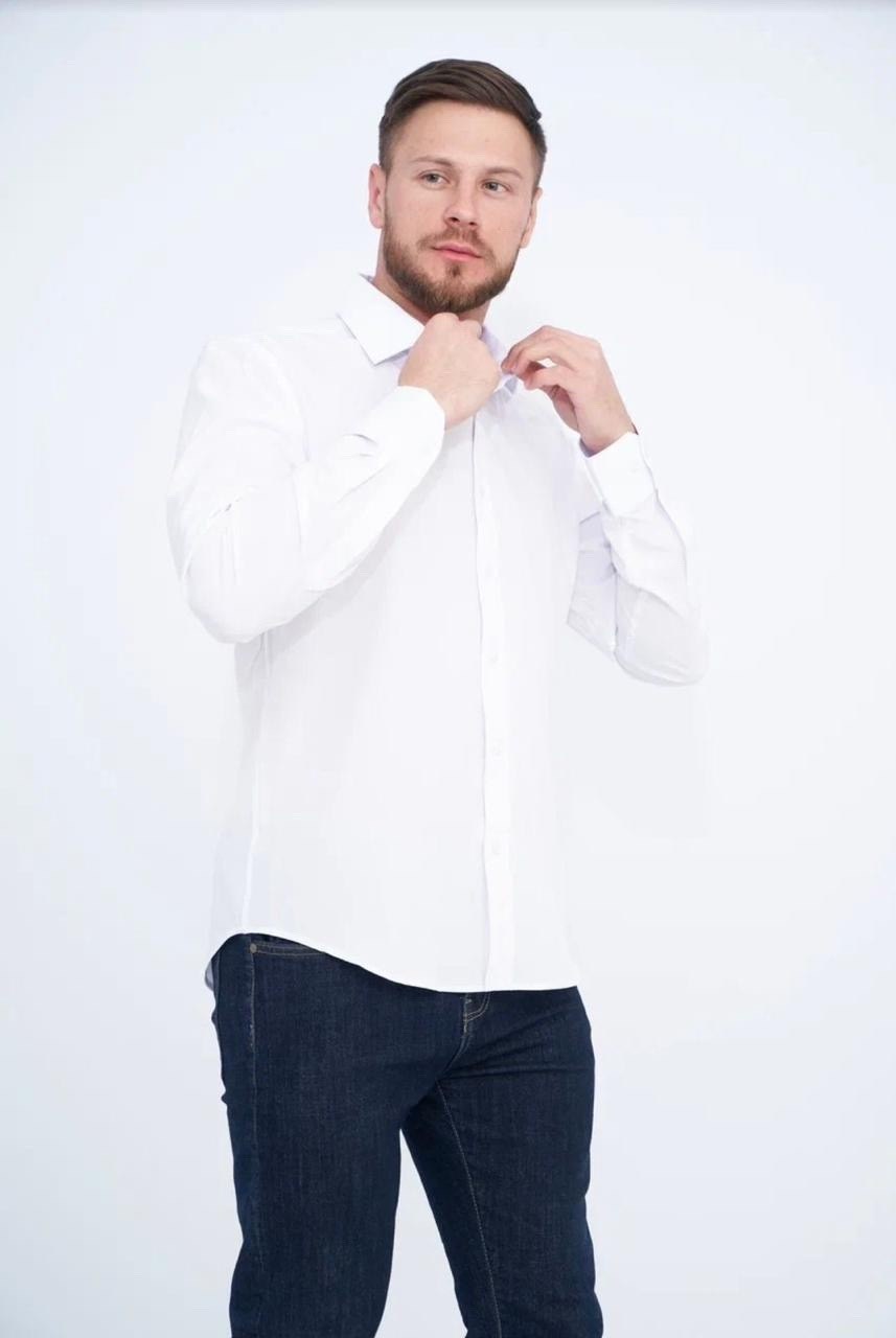 рубашка мужская greg 01-00001323 голубая,рубашка голубая,рубашка мужская,рубашка мужская greg 01-00000204 голубая,рубашка мужская greg 01-00001417 голубая