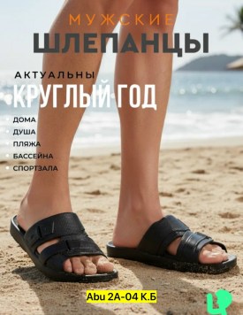 Сланцы
