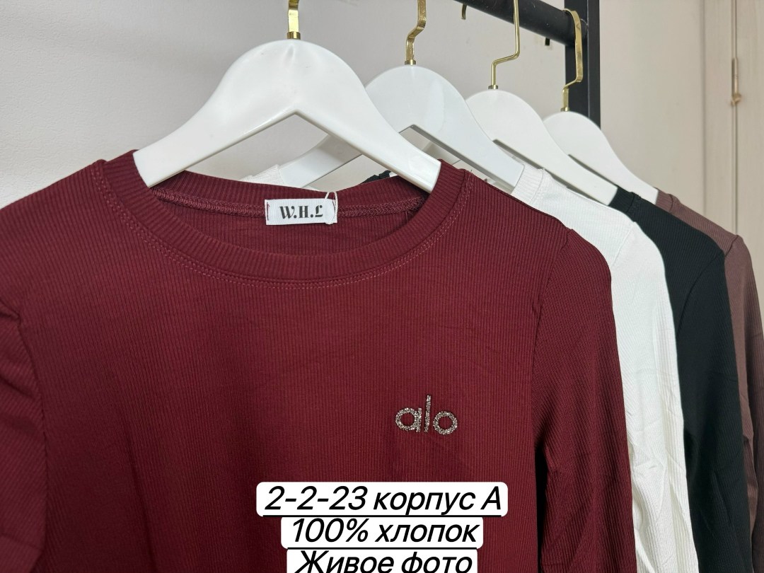 свитшот женская,женская кофта,стильный свитшот,лонгслив женские,лонгслив