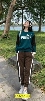 комплект одежды the north face,толстовка the north face,свитшот the north face,кофта the north face,костюм спортивный the north face