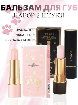 Одежда