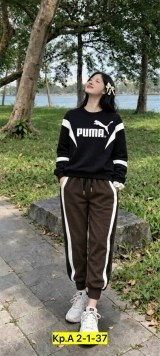 костюм спортивный adidas sportswear,adidas original,adidas originals adidas,свитшот адидас,костюм спортивный adidas