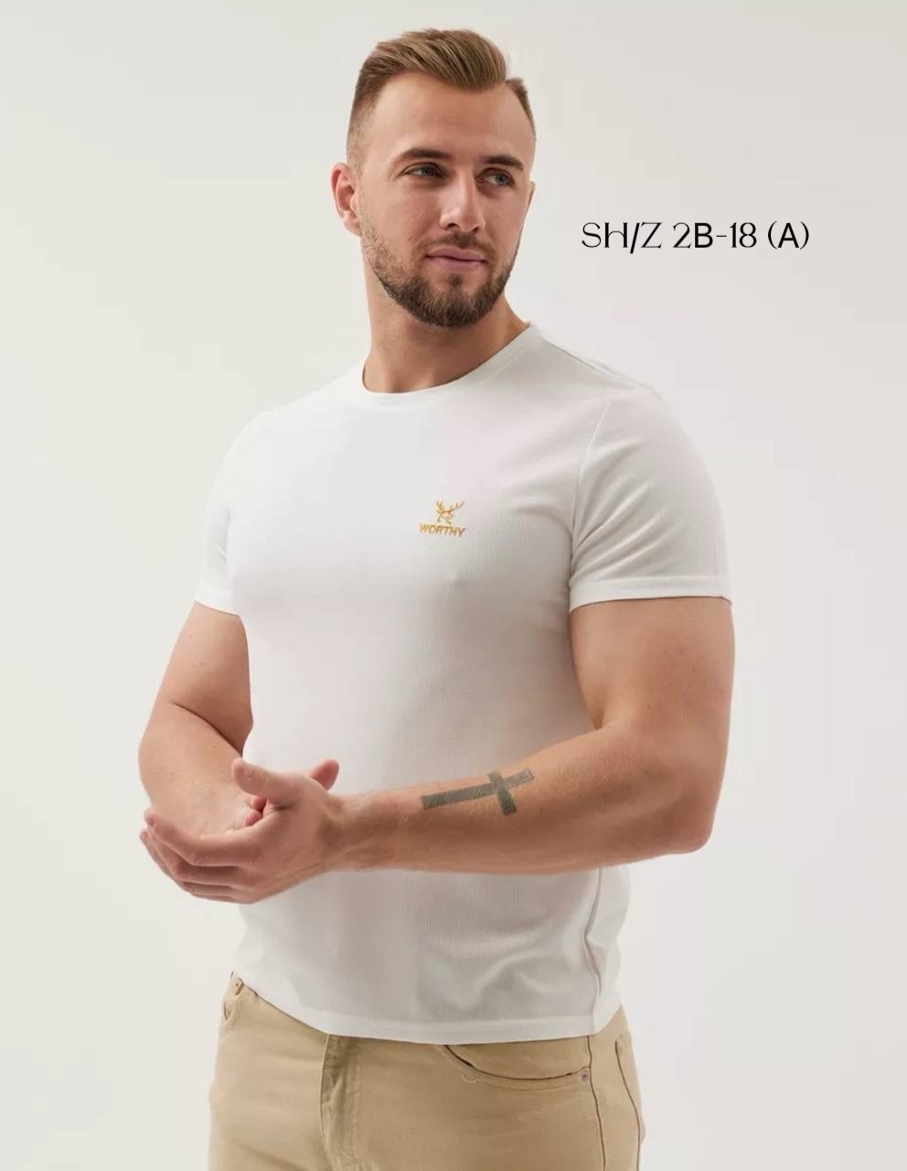 футболки с вышивкой,мужская хлопковая футболка,одежда футболка,одежда для мужчин,мужская мода