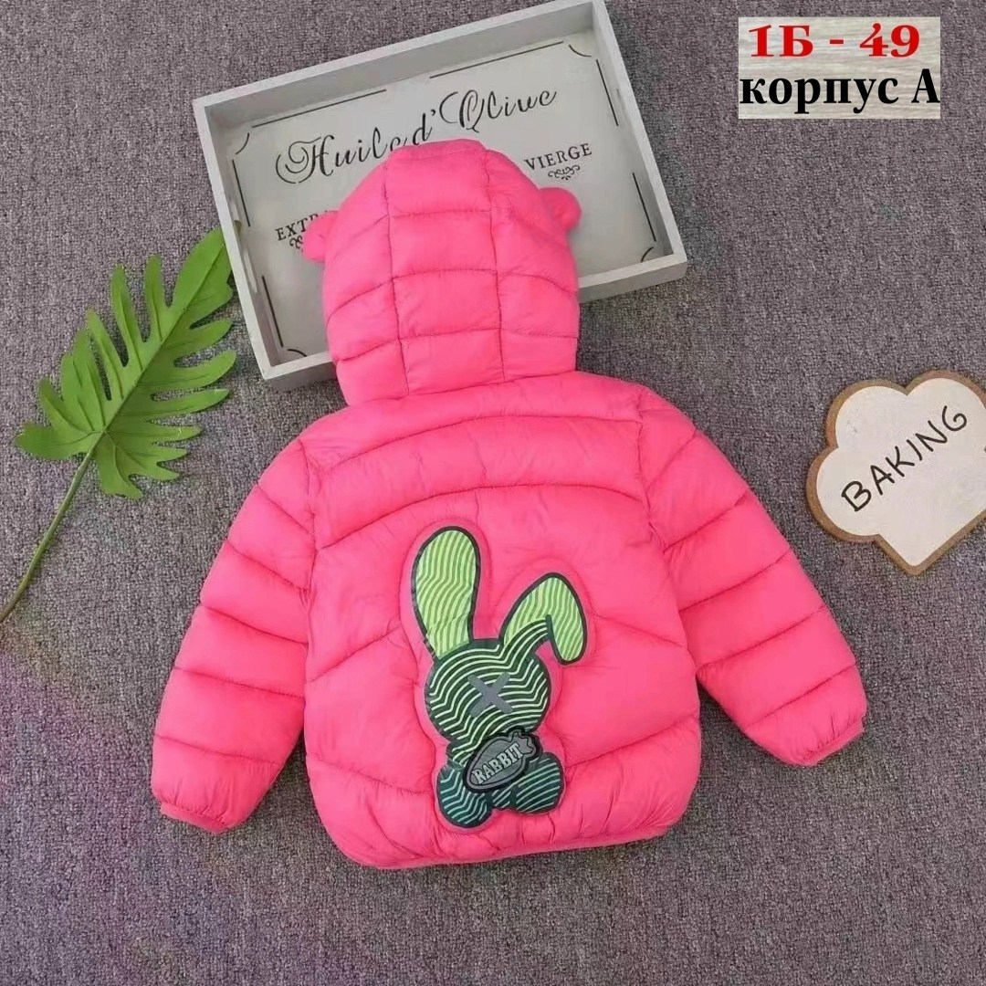 демисезонная куртка для детей,детская куртка демисезонная,куртка детская,куртка весенняя для девочки,демисезонная куртка