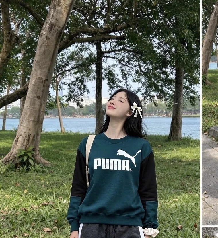 adidas originals adidas,толстовка adidas,свитшот адидас,свитшот adidas,свитшот женский adidas