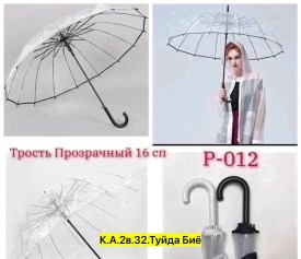 Одежда