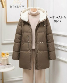 Верхняя одежда