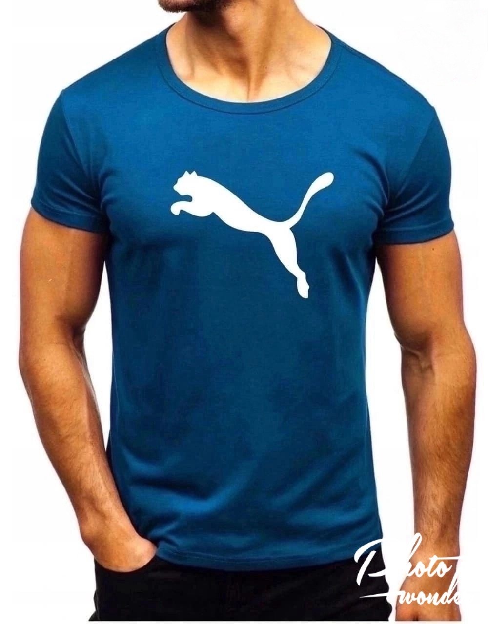 футболки мужские,футболки для мужчин,футболки мужские модные молодежные,мужская футболка puma,майка и футболка