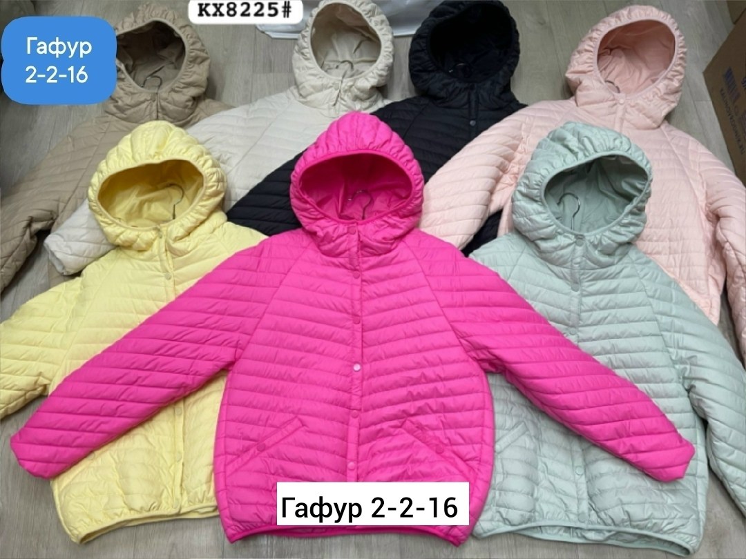 демисезонная куртка,куртка демисезонная на синтепоне, куртки,демисезонная куртка для девочек,женская куртка