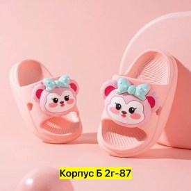 Сланцы