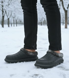 Одежда