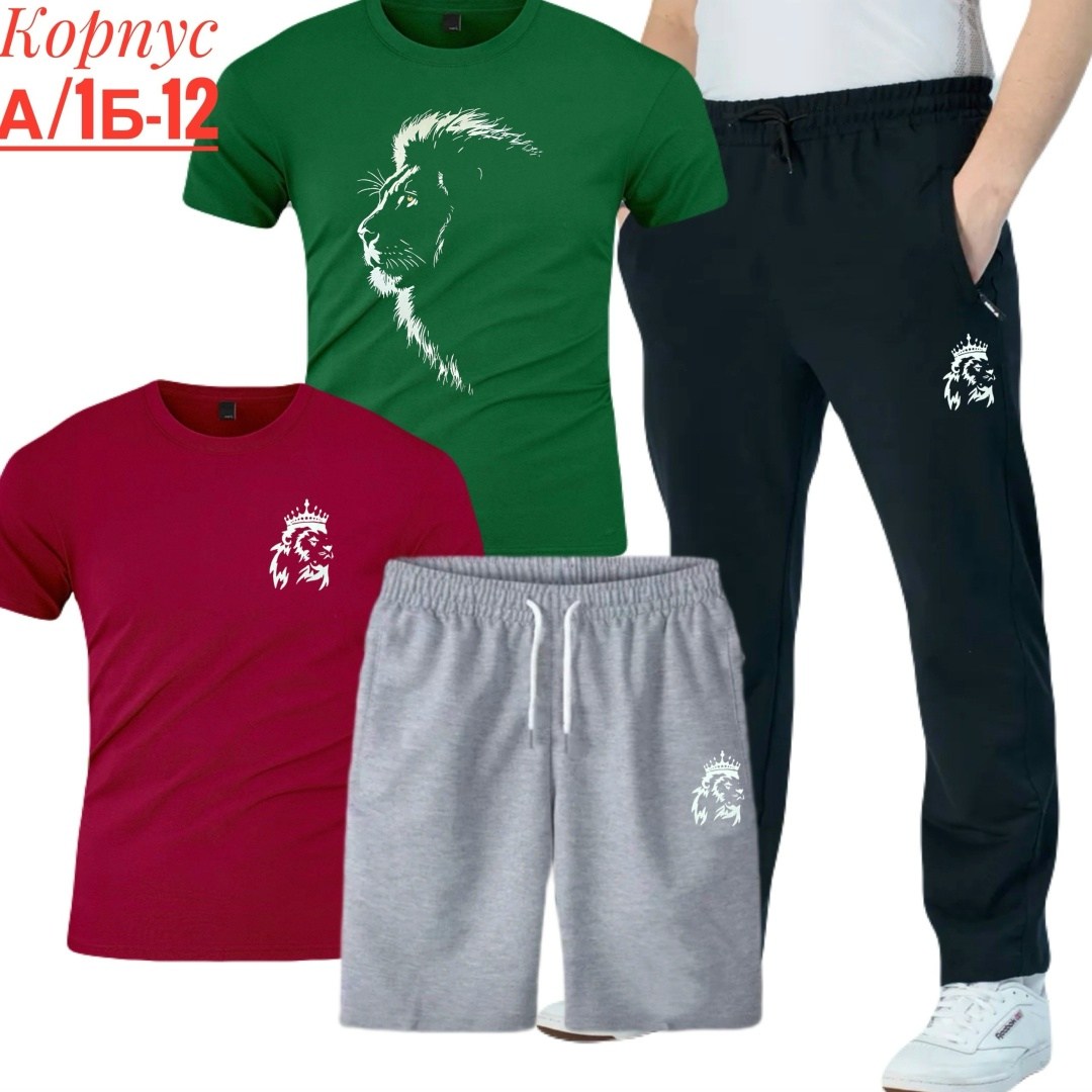 костюм спортивный мужской,костюм для мужчин,россия костюм мужской,мужской спортивный костюм летний,футболки комплект