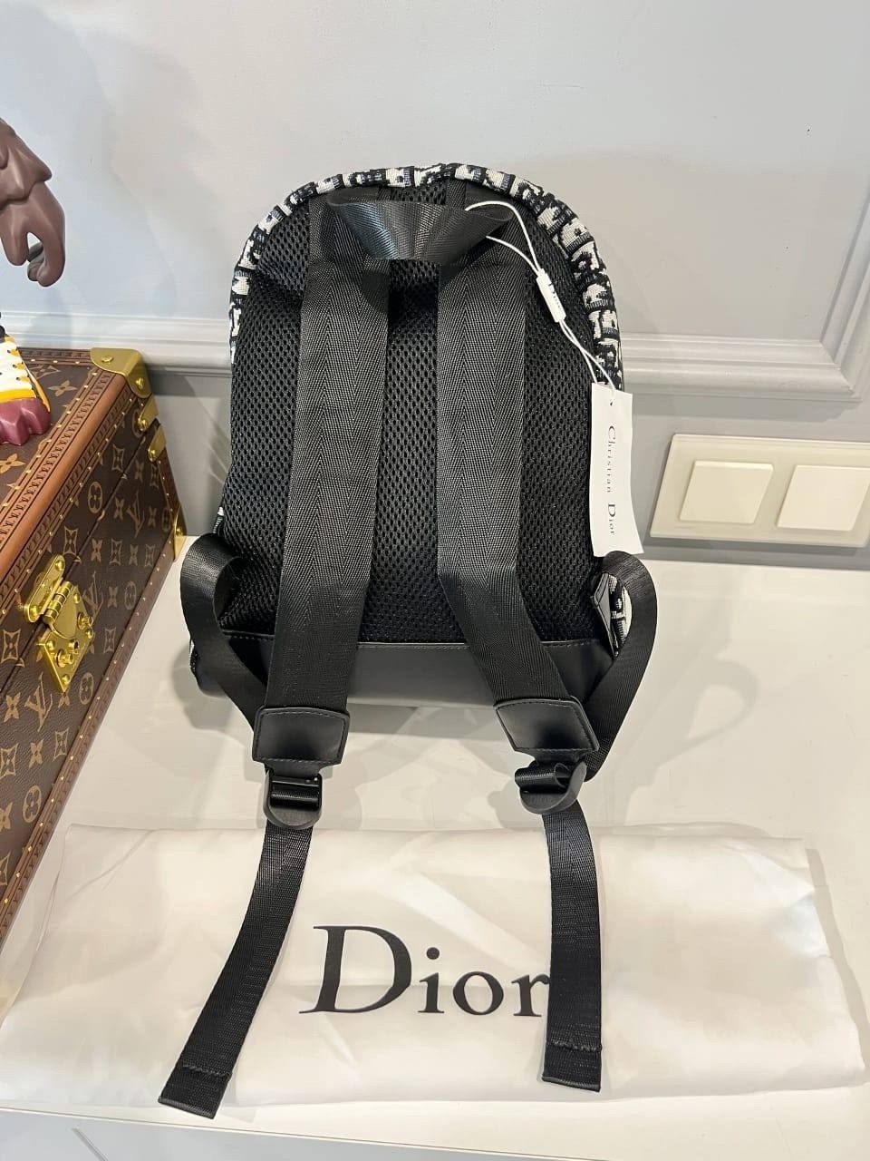 рюкзак кристиан диор,рюкзак кристиан диор оригинал,рюкзак диор,рюкзак,рюкзак женские