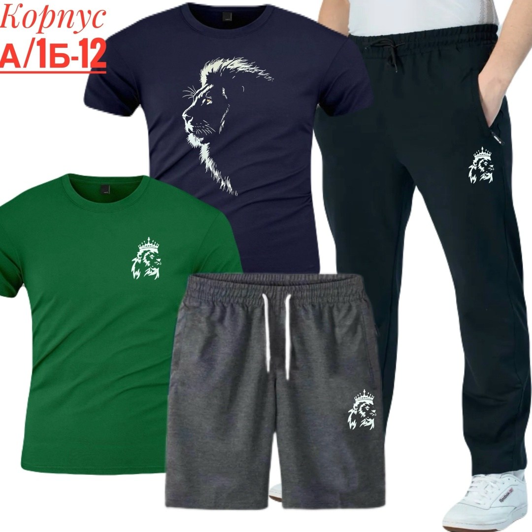 костюм спортивный мужской,костюм для мужчин,россия костюм мужской,мужской спортивный костюм летний,футболки комплект