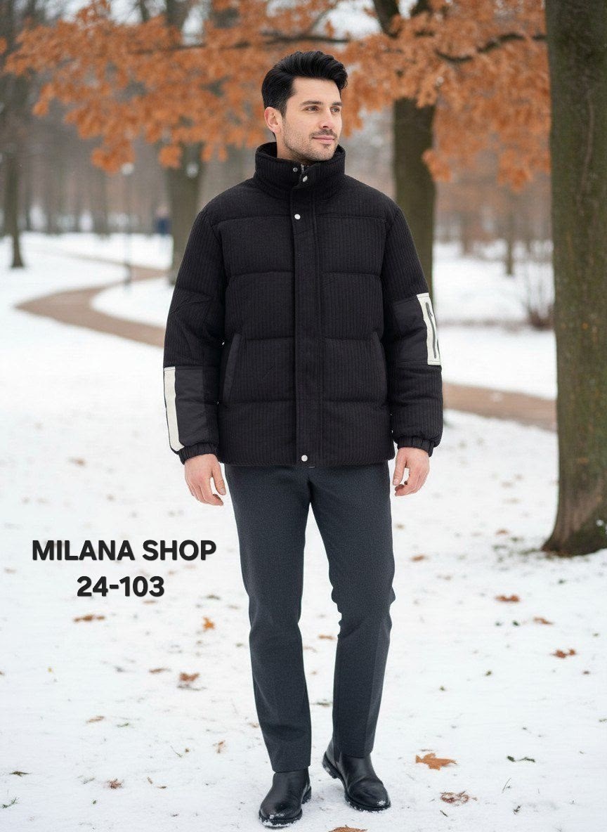 куртка мужская зимняя,зимняя куртка,демисезонная куртка,куртка мужскaя демисезонная,пуховик зимний мужской