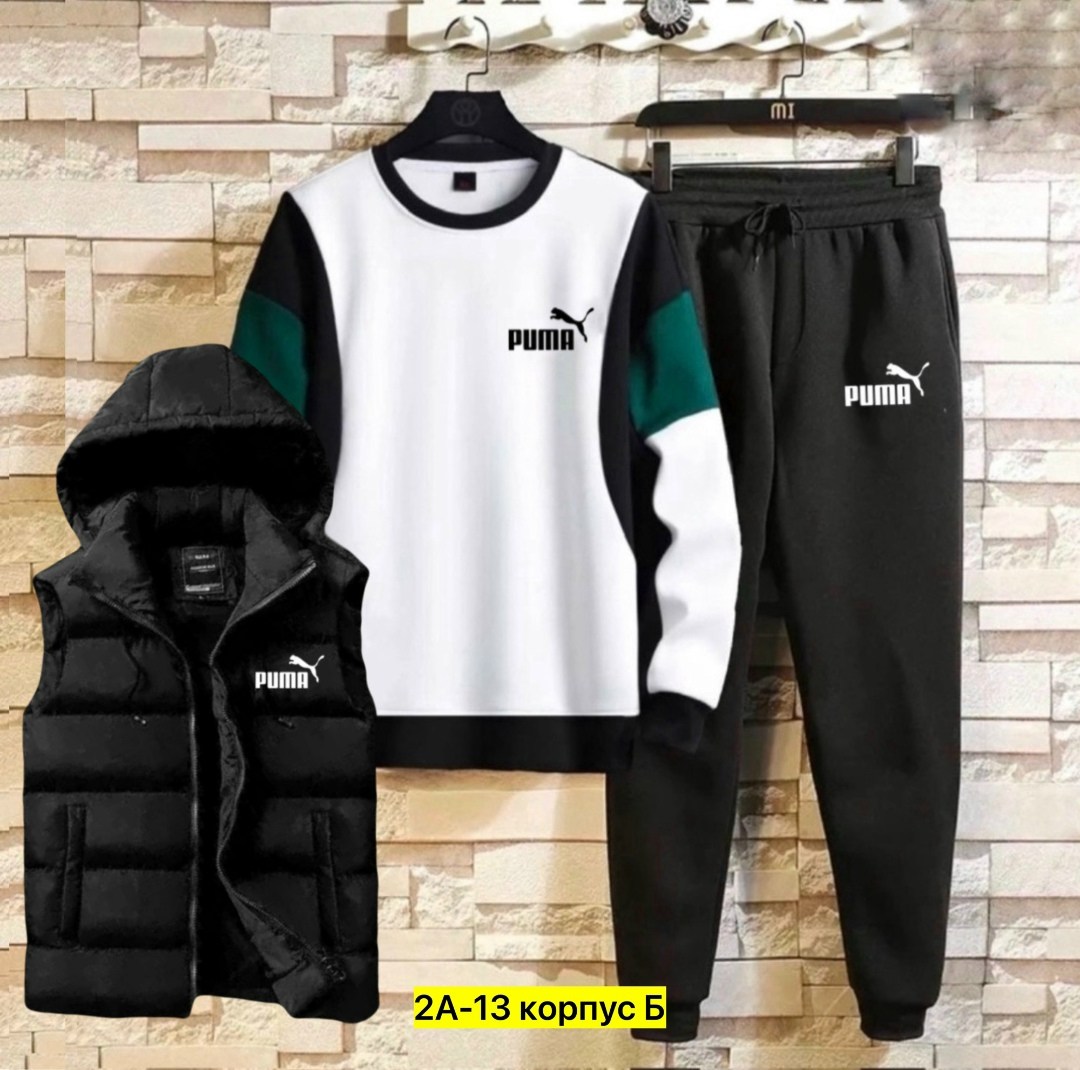 костюм спортивный мужской,спортивные костюмы,костюм для мужчин,костюм мужской,