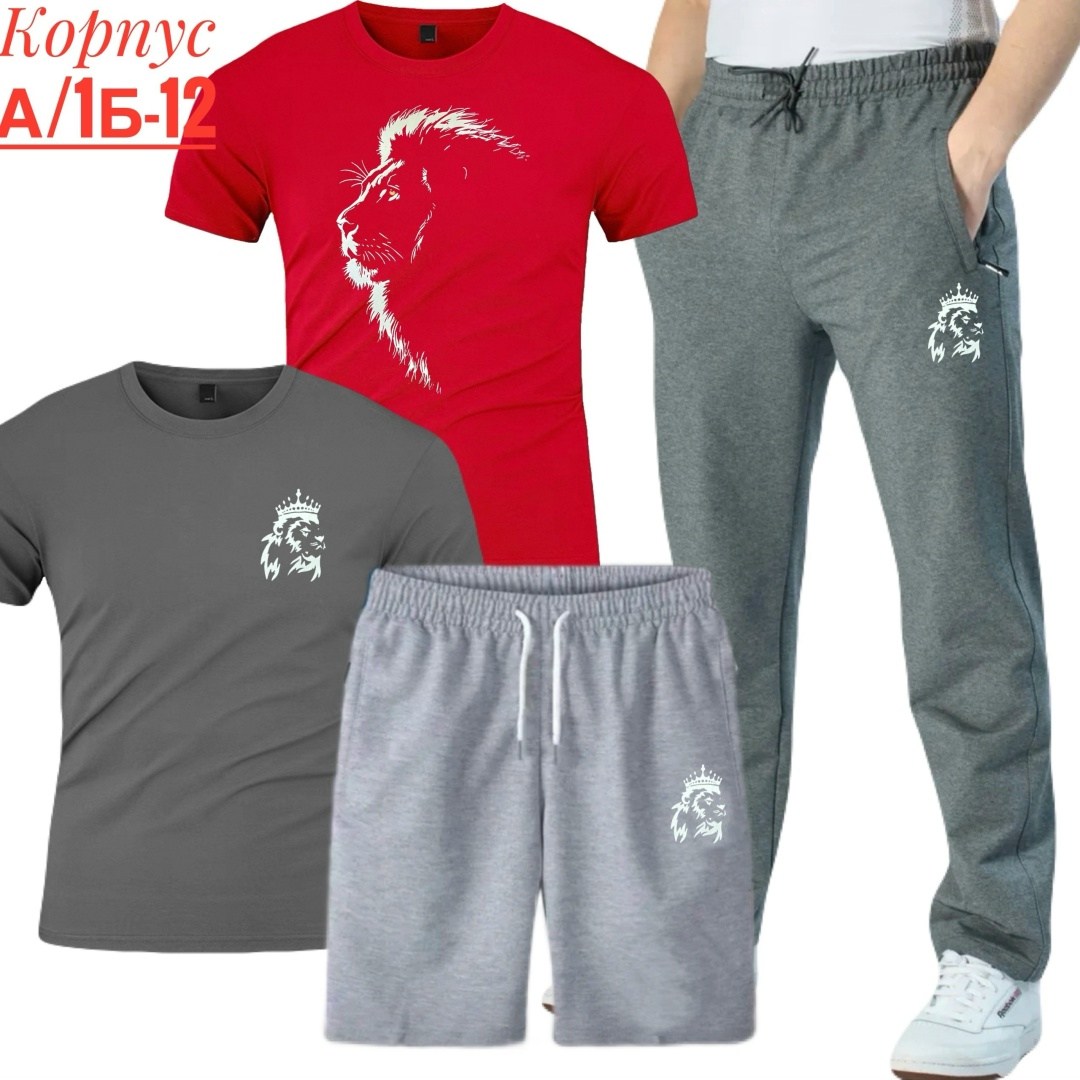 костюм спортивный мужской,костюм для мужчин,россия костюм мужской,мужской спортивный костюм летний,футболки комплект