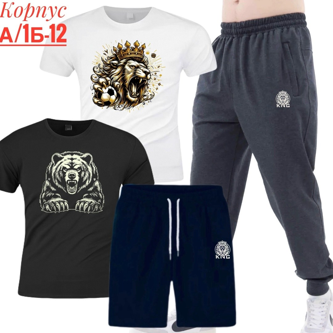 костюм спортивный мужской,костюм для мужчин,мужские комплекты,спортивные костюм,россия костюм мужской