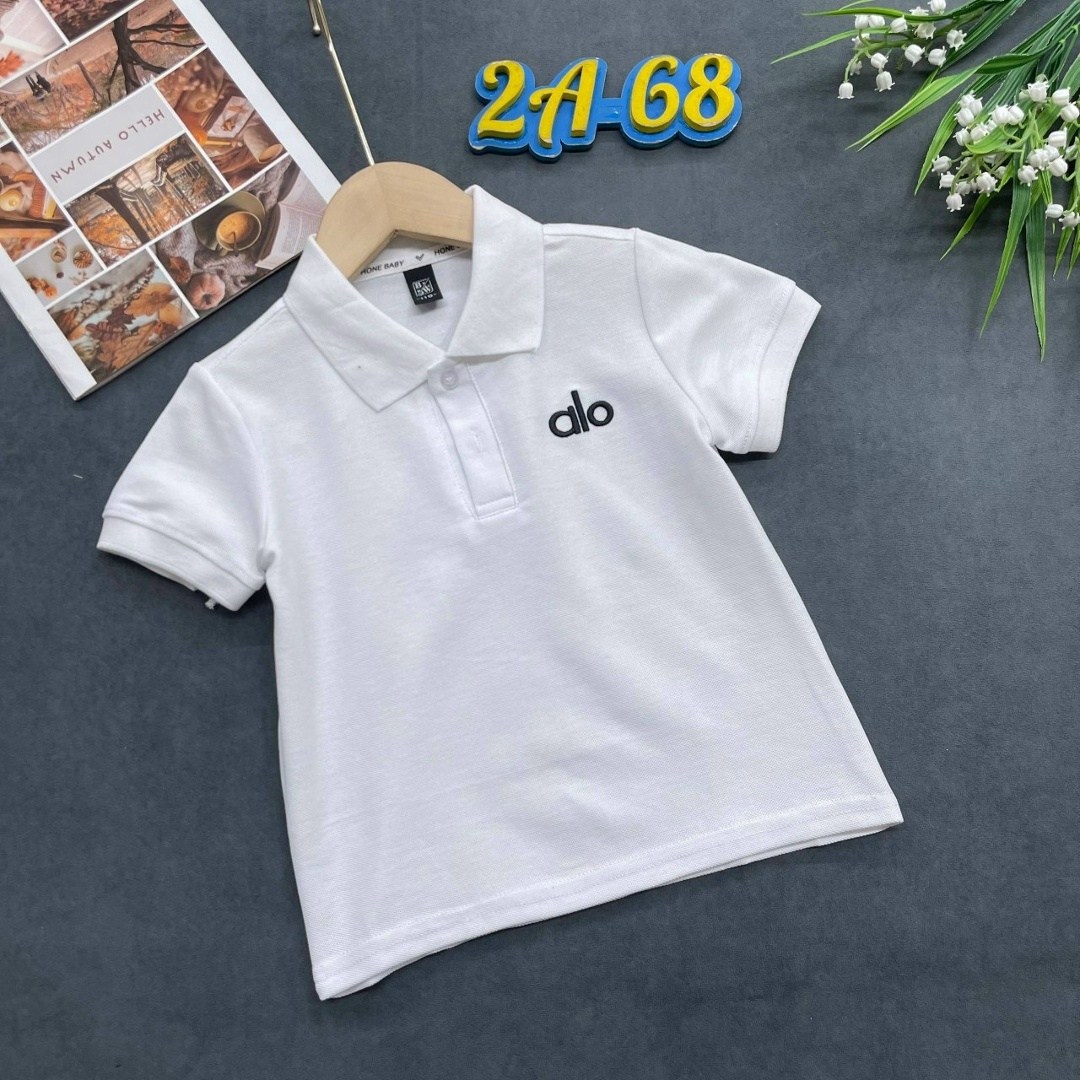 футболка поло для мальчика,футболка детская поло,футболки для мальчика,детская футболка,футболки детские