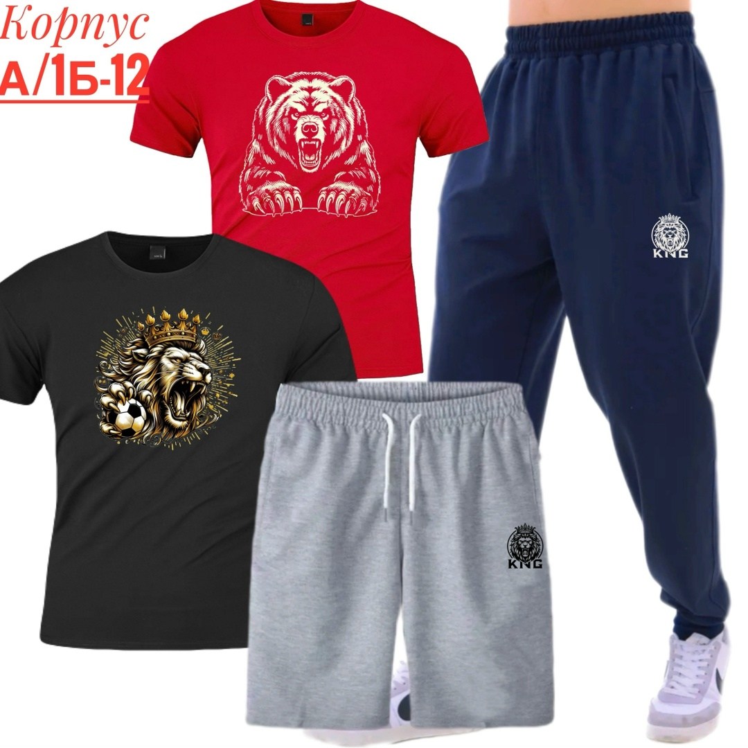 костюм спортивный мужской,костюм для мужчин,мужские комплекты,спортивные костюм,россия костюм мужской