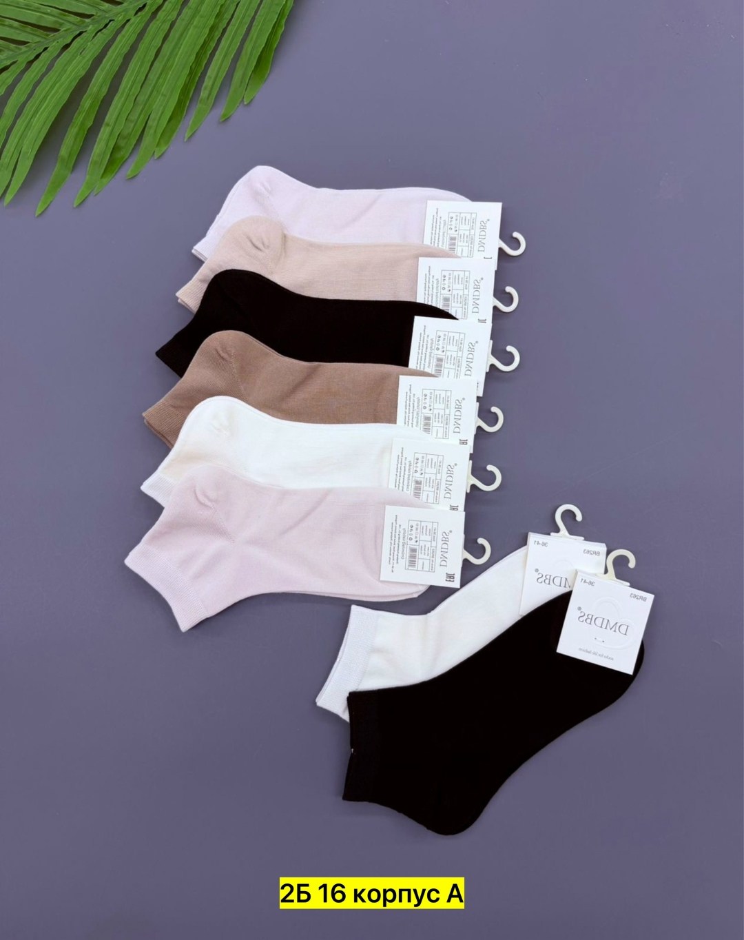 носки женские 10 пар,носки женские,носки женские р. 36-41 (5 пар) арт. 1305593,носки женские набор,носки классика