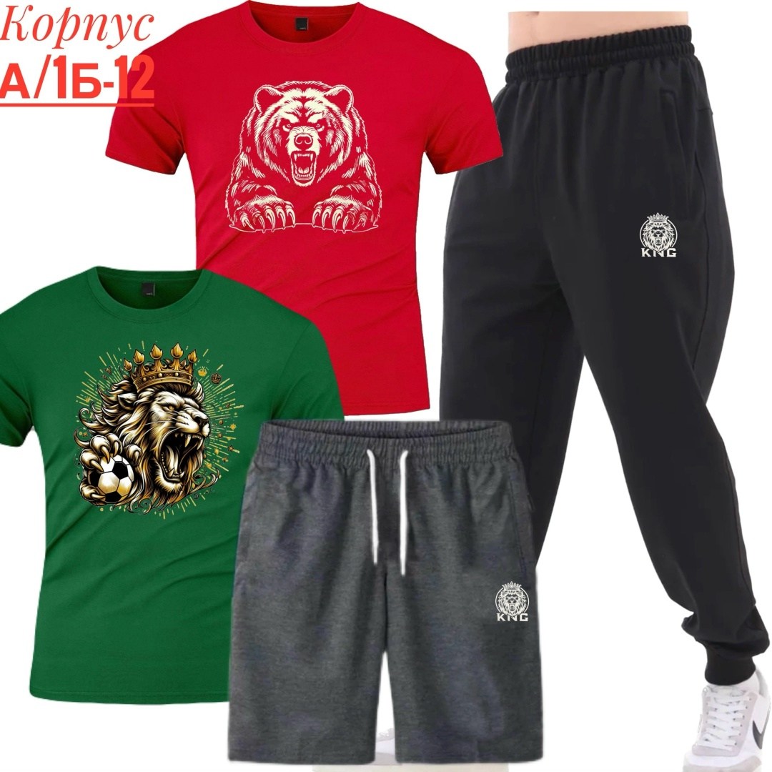 костюм спортивный мужской,костюм для мужчин,мужские комплекты,спортивные костюм,россия костюм мужской