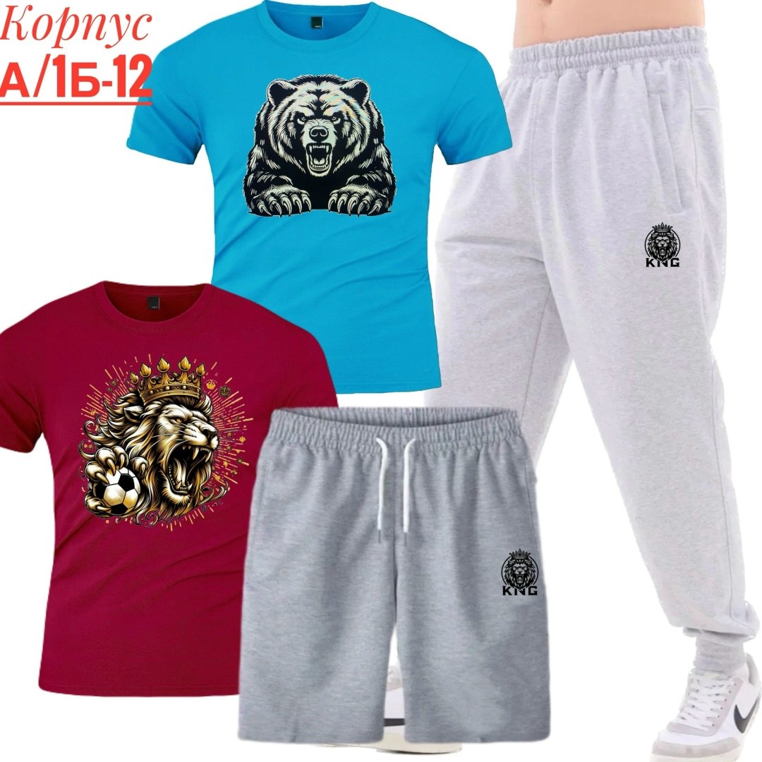 костюм спортивный мужской,костюм для мужчин,мужские комплекты,спортивные костюм,россия костюм мужской