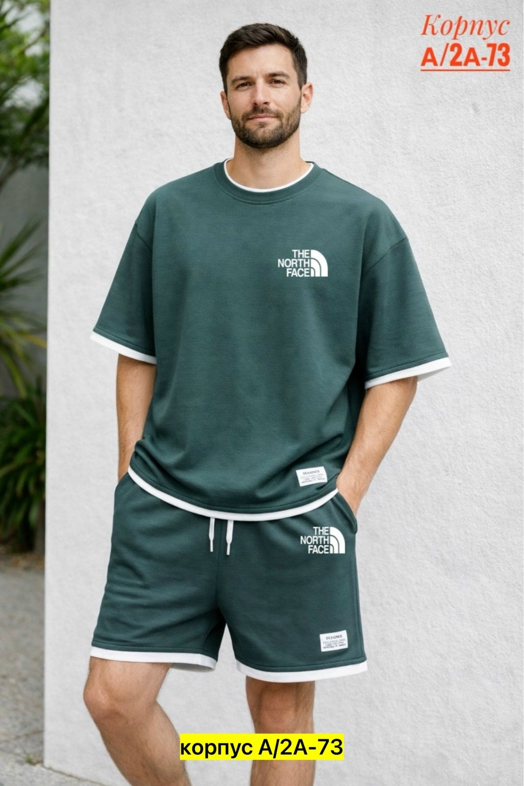 мужская футболка the north face,футболка мужской the north face светло-серый,спортивные мужские костюмы,футболка the north face,костюм с шортам